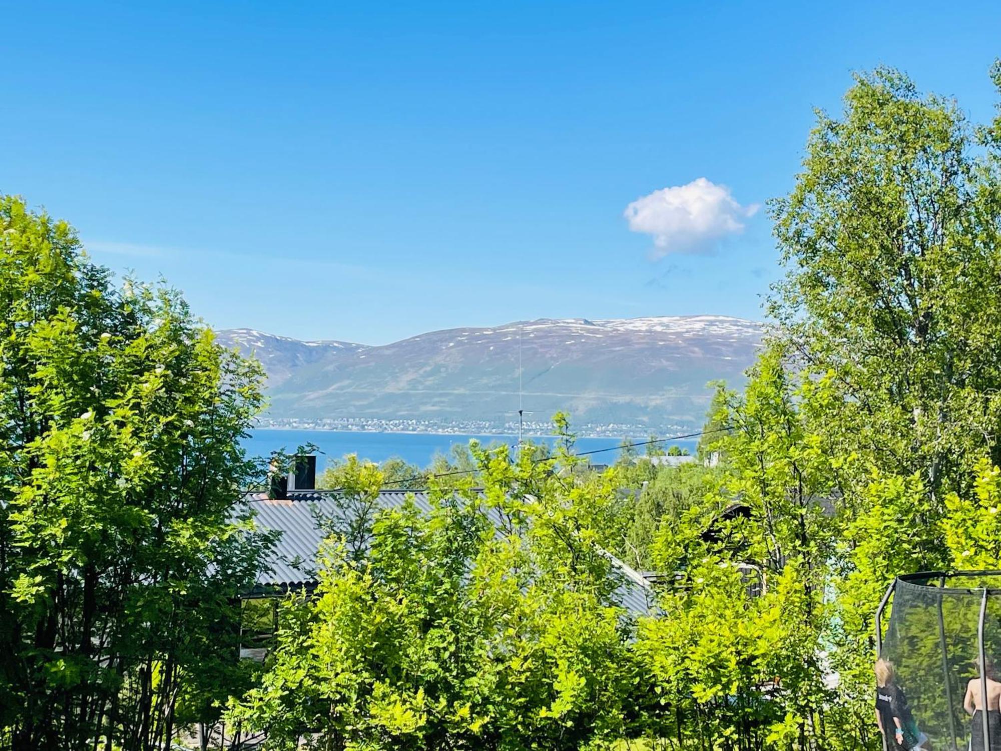 With A View - South